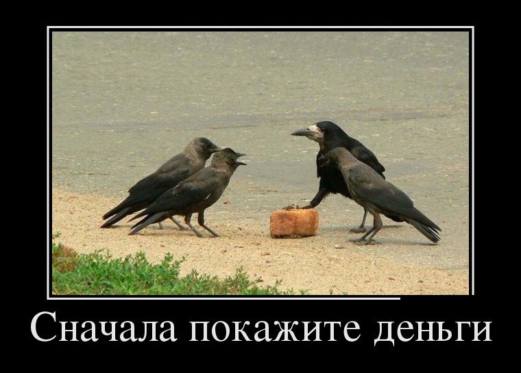 Пироги обеду вороги. bit.ly/2mTo1rO