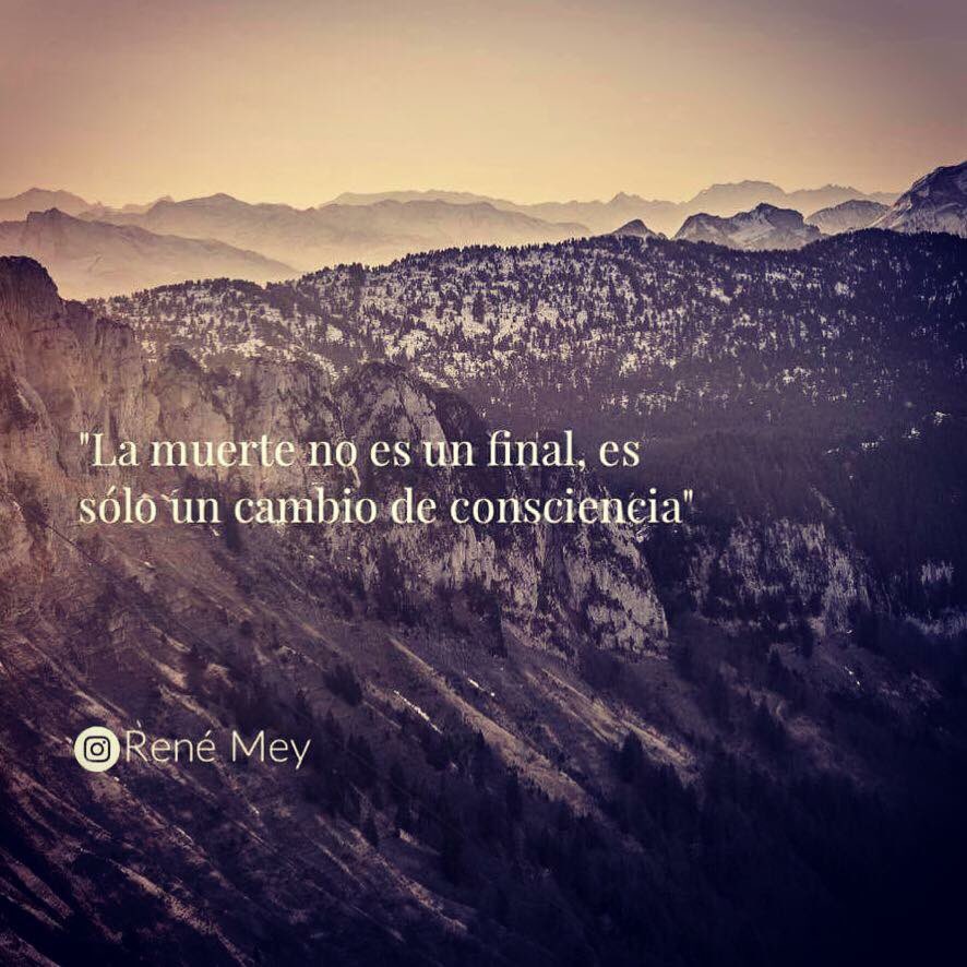 renemeyoficial's tweet photo. https://t.co/Hwwmi2qV68