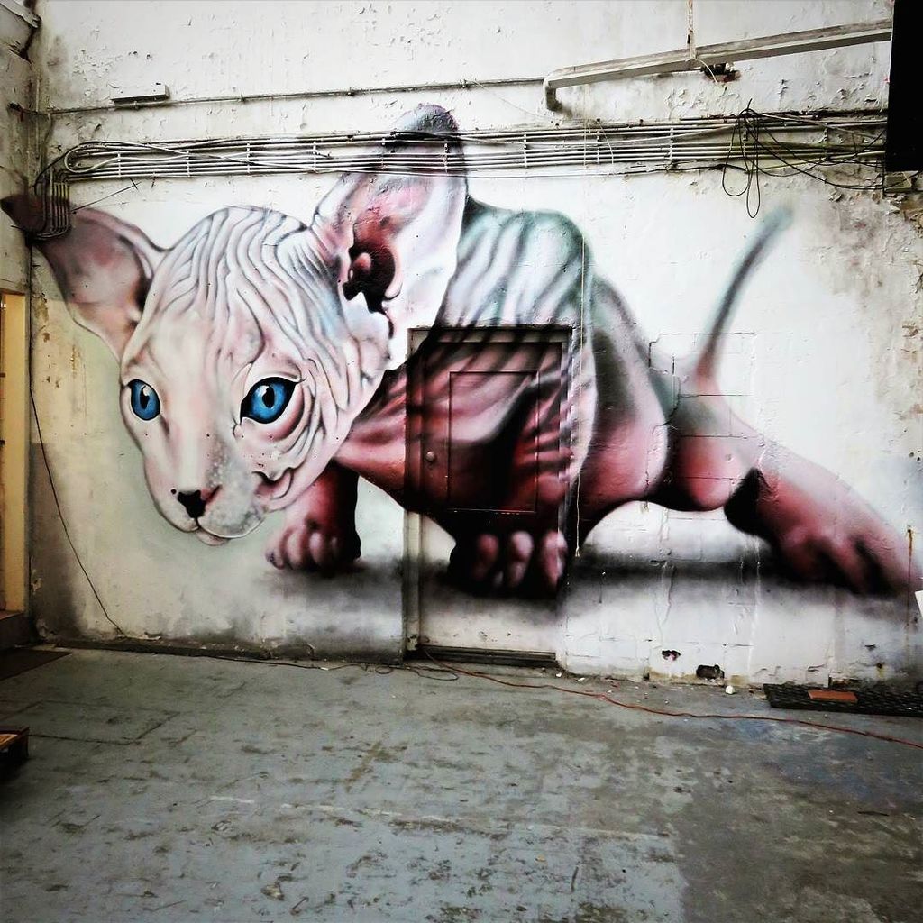 F_erre's tweet photo. #cat of the year for me / #Art by #ChuckOne - #nederland #streetart #graffiti #urbanart #graffitiart #urbanart_dai… https://t.co/6jJNcEzVG8 https://t.co/qSlAUyJqX0