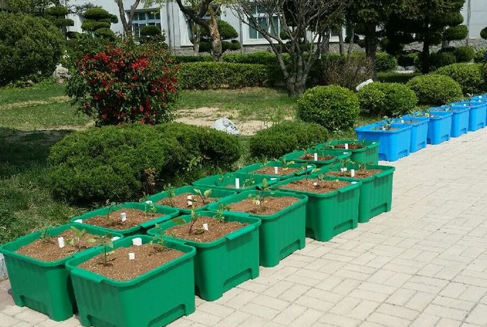 지난 4월 25일부터 26일까지 팔달구 관내 초등학교(화양ㆍ화서ㆍ매산ㆍ지동 초등학교) 4개소를 대상으로 "푸른학교, 푸른새싹 상자텃밭 지원사업"을 실시했습니다!