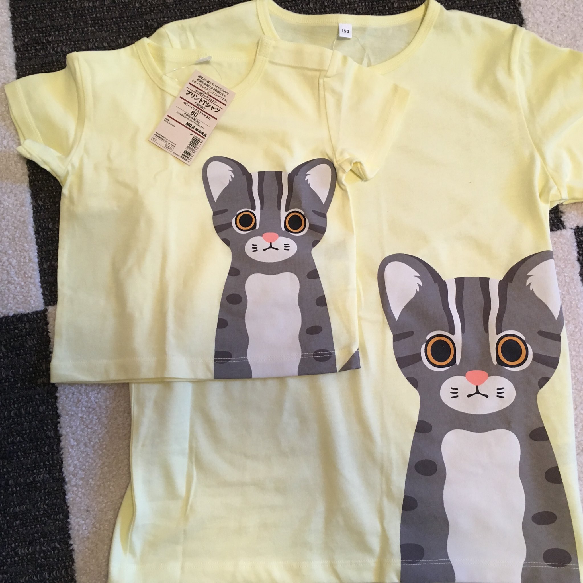 ましろ 無印良品週間で買ったイリオモテヤマネコtシャツきたー W キッズ150も買ったから夏にお揃いで着るぞー T Co Sfsiaek4ym Twitter