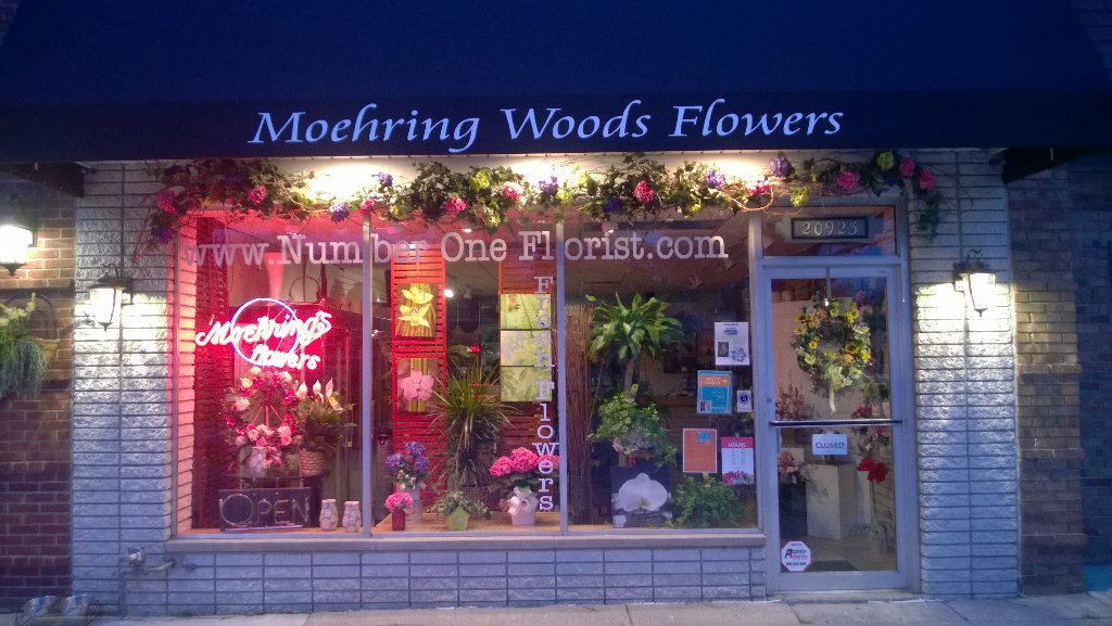 MFlwrs's tweet photo. New Window Graphics . With our website www.NumberIneFloriat.xom https://t.co/mPz0A2yUAB