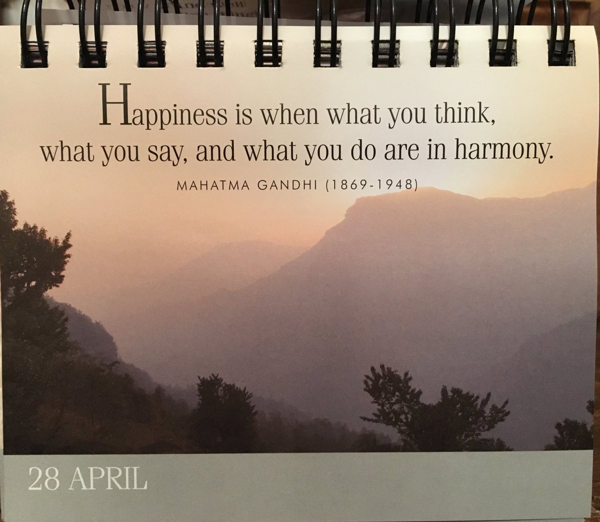 TinaMaze's tweet image. 