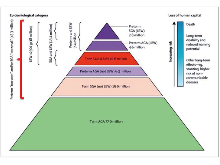 nephron_journal's tweet image. The Impact of Kidney Development on Life Course: A Consensus Document for Action  #DevelopmentalProgramming karger.com/Article/FullTe…
