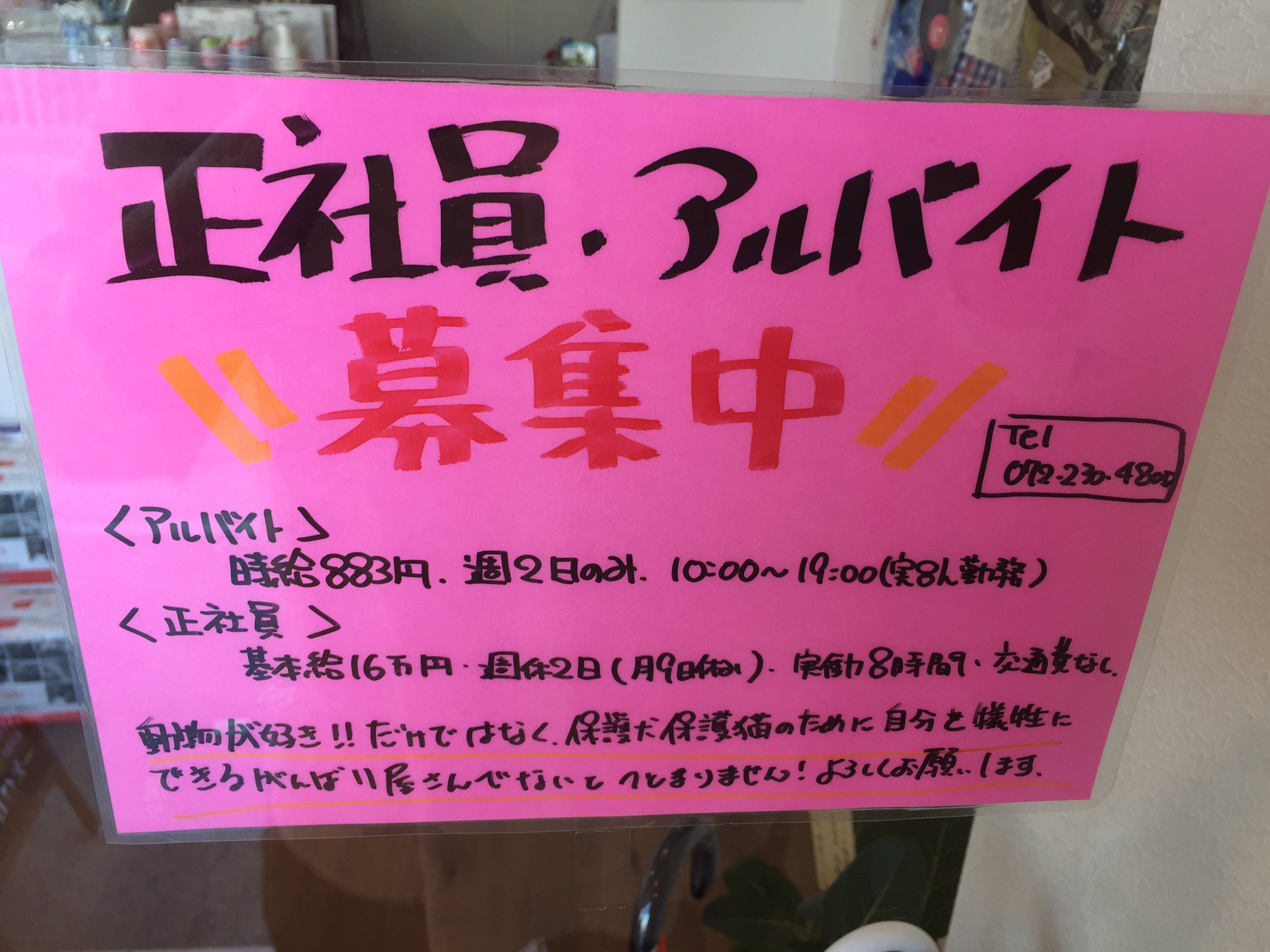 保護犬カフェ 堺店 保護犬カフェ堺店では 正社員 アルバイト募集しております 未経験の方でも大歓迎です わんちゃん ねこちゃんが好きな方は 是非一緒にお世話しませんか よろしくお願いします