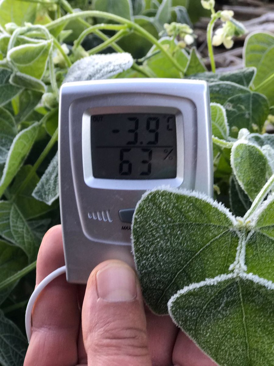 aluizionassi's tweet image. Eita #Roraima_SemIgual...!!!
*Comparação #CLIMA agora: Roraima/Paraná 

#Soja_Roraima
#Cerrado_Roraima 
#Roraima_HemisférioNorte
@Embrapa