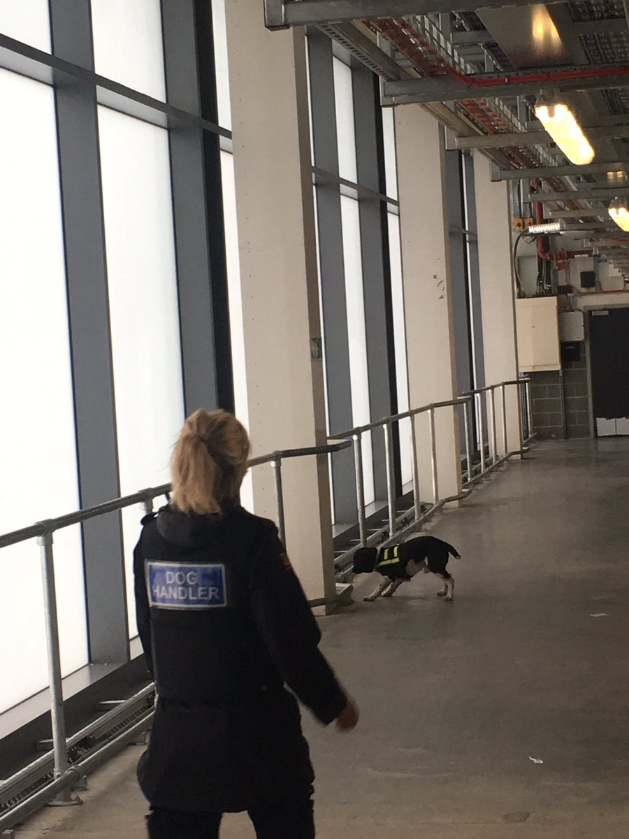 TechnologySB's tweet image. getting a demonstration from the explosives search team 💣🐕 @westfieldstrat