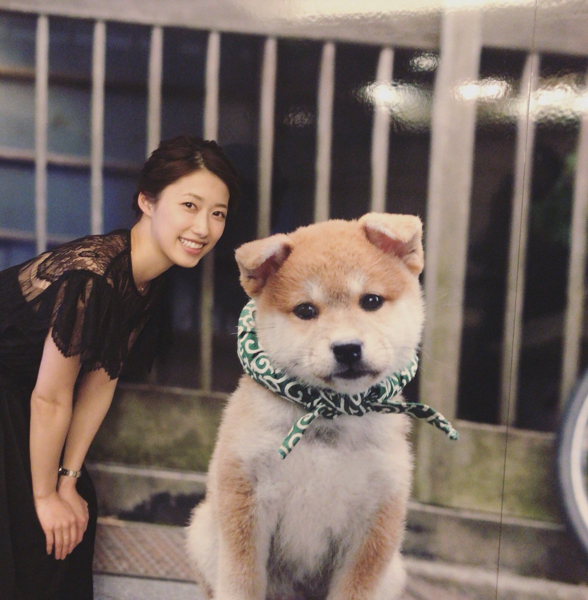 Uzivatel 彩友美 Na Twitteru 和風総本家10周年 素敵な番組は素敵な方々によって出来ているんだなと改めて感じました 豆助が私より大きい でも可愛い