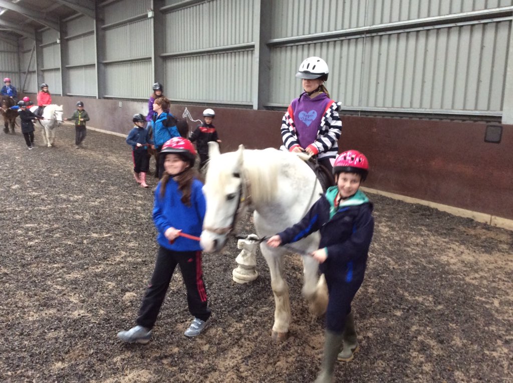 YsgolGlantwymyn's tweet photo. Gwneud ffrindiau newydd yn y gwersyll! #merlota 🐎🏇 🐴 https://t.co/ftwSlZgk6n