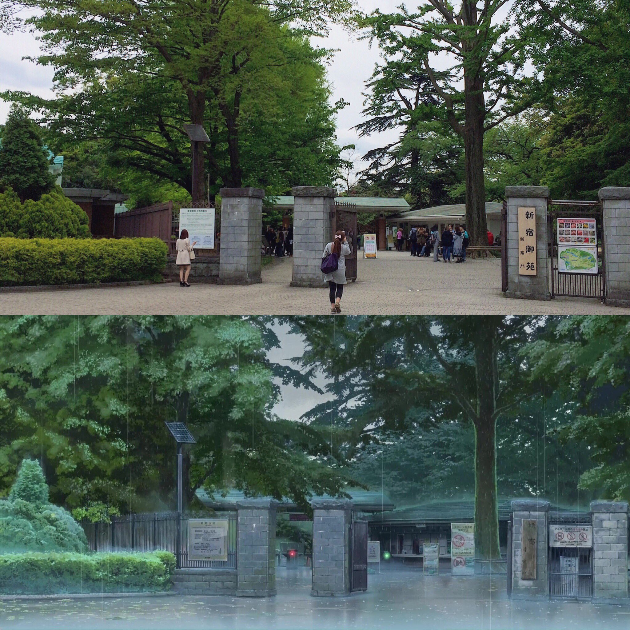 Dotnoi 言の葉の庭 聖地 新宿御苑 です 雨は降ってないですが 雰囲気までアニメそのままでした 言の葉の庭 聖地巡礼 T Co Nxvyimq7vz Twitter