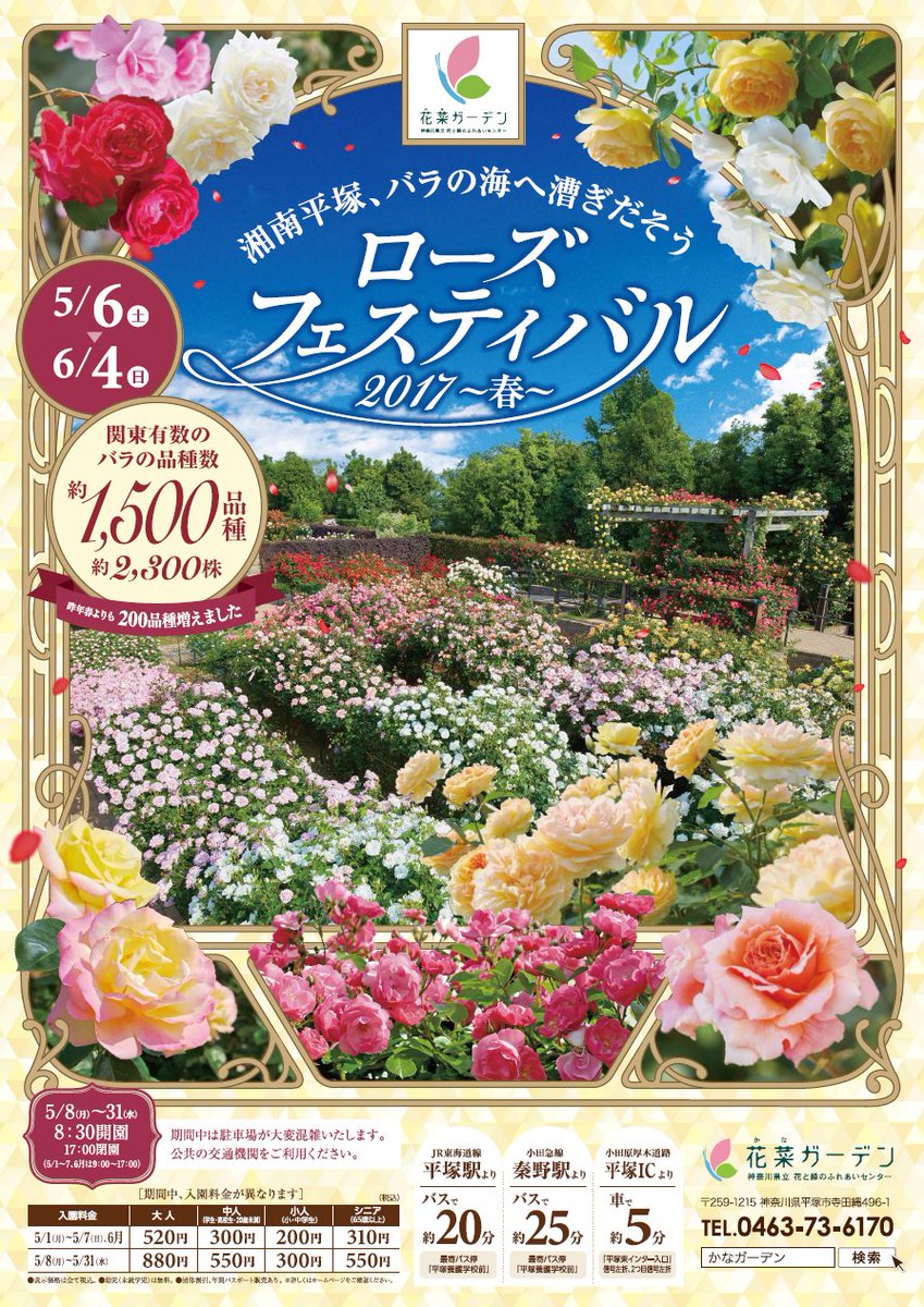 神奈川県庁広報 Twitterissa ローズフェスティバル 県立花と緑のふれあいセンター 花菜ガーデン で バラの開花に合わせて 5月6日 土曜 から6月4日 日曜 まで開催 バラ園ガイドツアーもあります T Co Foigiz78mc 花菜ガーデン 見ごろ 神奈川県庁広報 Twitterissa ローズフェスティバル 県立花と緑のふれあいセンター 花菜ガーデン で バラの開花に合わせて 5月6日 土曜 から6月4日 日曜 まで開催 バラ園ガイドツアーもあります T Co Foigiz78mc 花菜ガーデン 見ごろ