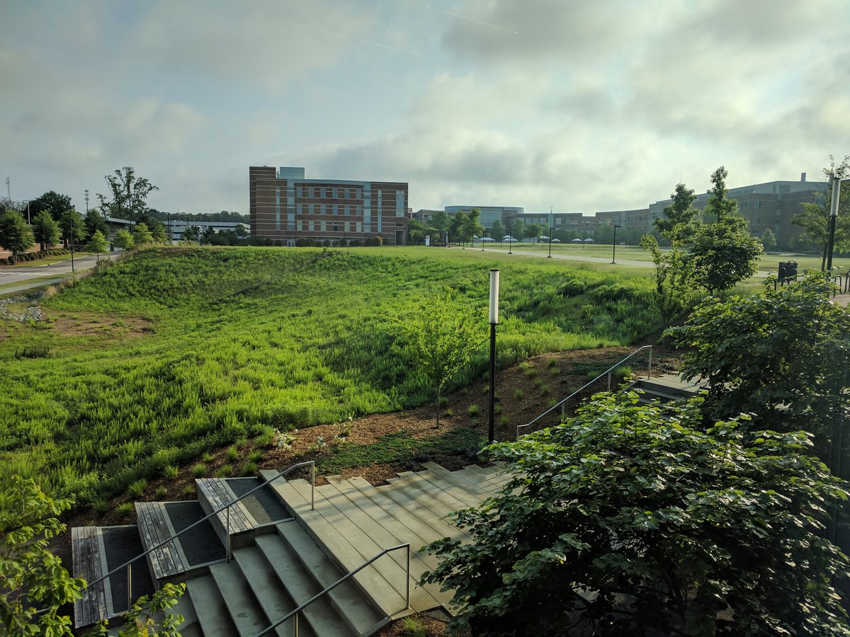 zhao_shirley's tweet image. Last day of #DSVIL @ncsulibraries! It&apos;s been a really intense week but I will be so sad to leave at the end of the day.  #DataScienceFriday