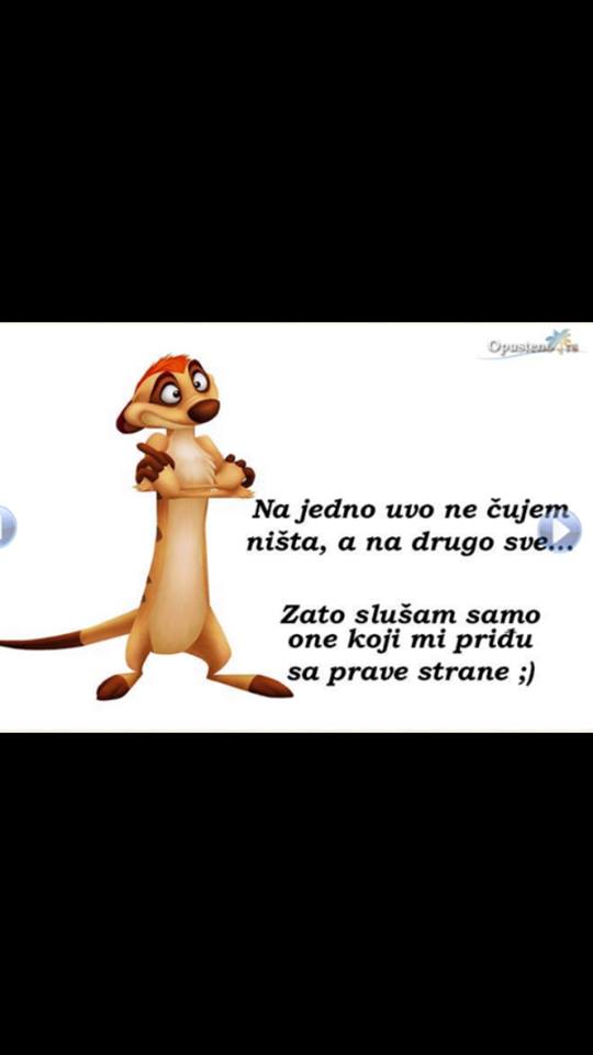 Svetlana Andjelkovic tweet media