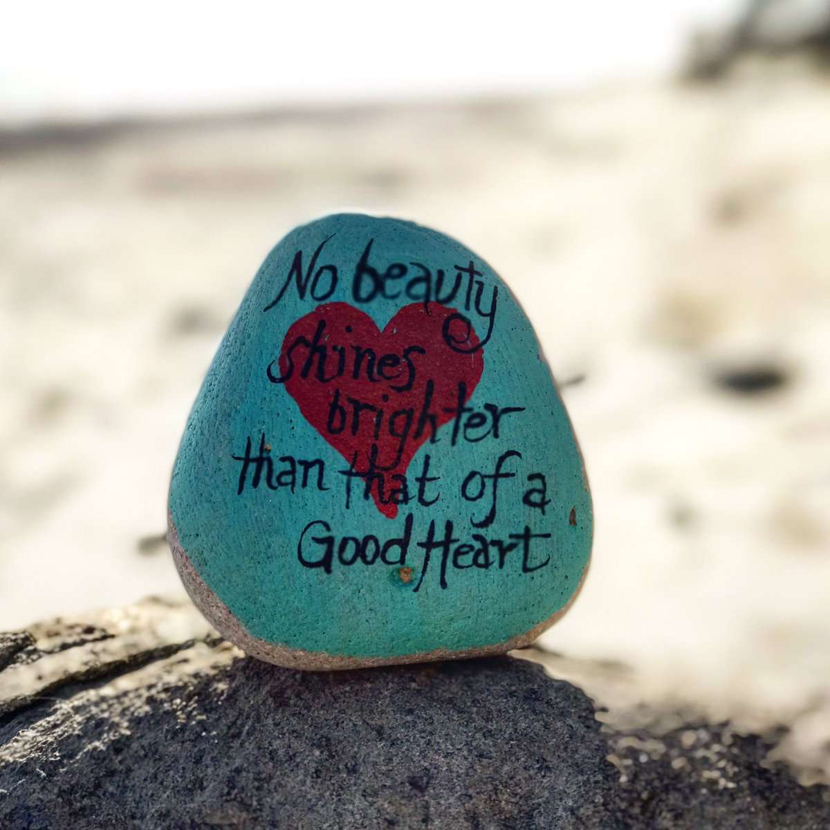 theKindnessrock's tweet photo. Shine on good ❤️'s
#thekindnessrocksproject https://t.co/L7jtdSTULO
