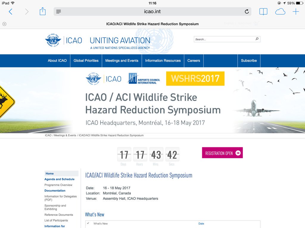 IntBSC's tweet image. 