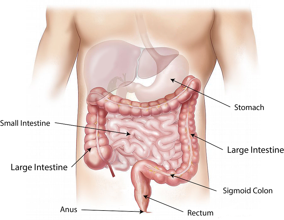 acurate_site's tweet photo. " ..Bloated abdomen due to lost intestinal flow due to post-operative fibrosis" A new AIO case study by Mark Houston https://t.co/1JMKWFQlnQ https://t.co/WWGjxVDm2r