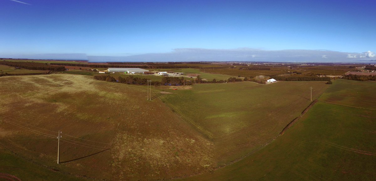 A view of our Portuguese farm