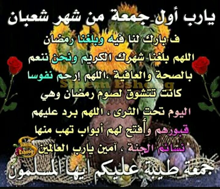 جمعه مباركه ..
اللهم صل وسلم وبارك على الحبيب المصطفى عليه أفضل الصلاة وأتم التسليم 🌷 🍀 🌷