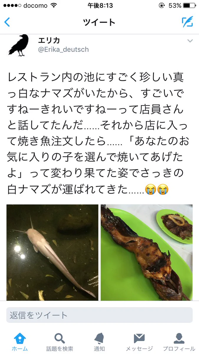 レストランにいたナマズが綺麗だったので店員さんに言った結果ww悲惨な姿で出てきたww