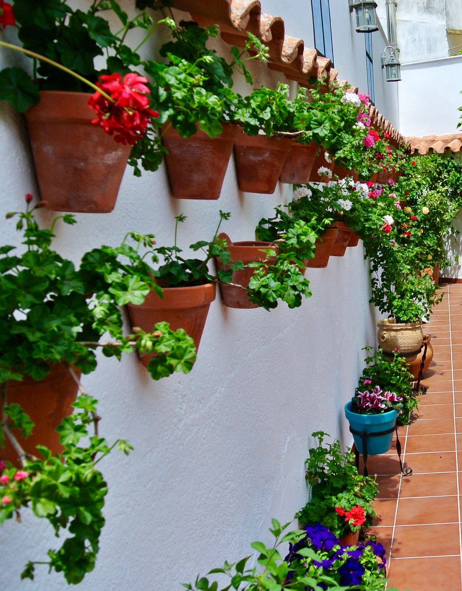 Andalucia_Rural's tweet photo. III Concurso de Patios, Rincones y Rejas de la provincia de Córdoba. Del 2 al 14/05 ¡Espectaculares! #MayoSeSale vía @dipucordoba https://t.co/N76DlKa8Ae