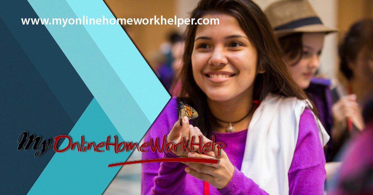 MWorkhelp's tweet image. We commit to always give the most competitive prices in the market, without compromising on the quality.
myonlinehomeworkhelper.com/prices/