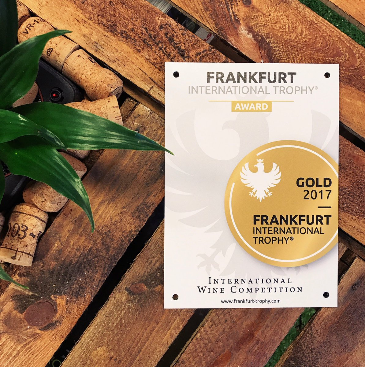 🥇#Ferro13 won the #FrankfurtWineTrophy gold medal // Un riconoscimento importante per Ferro13 la medaglia d'oro al Frankfurt Wine Trophy 🥂