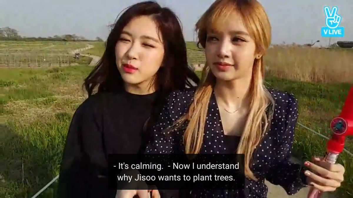 featkingjisoo's tweet image. Rosé gets it now. The impact of Jisoo's tree campaign.