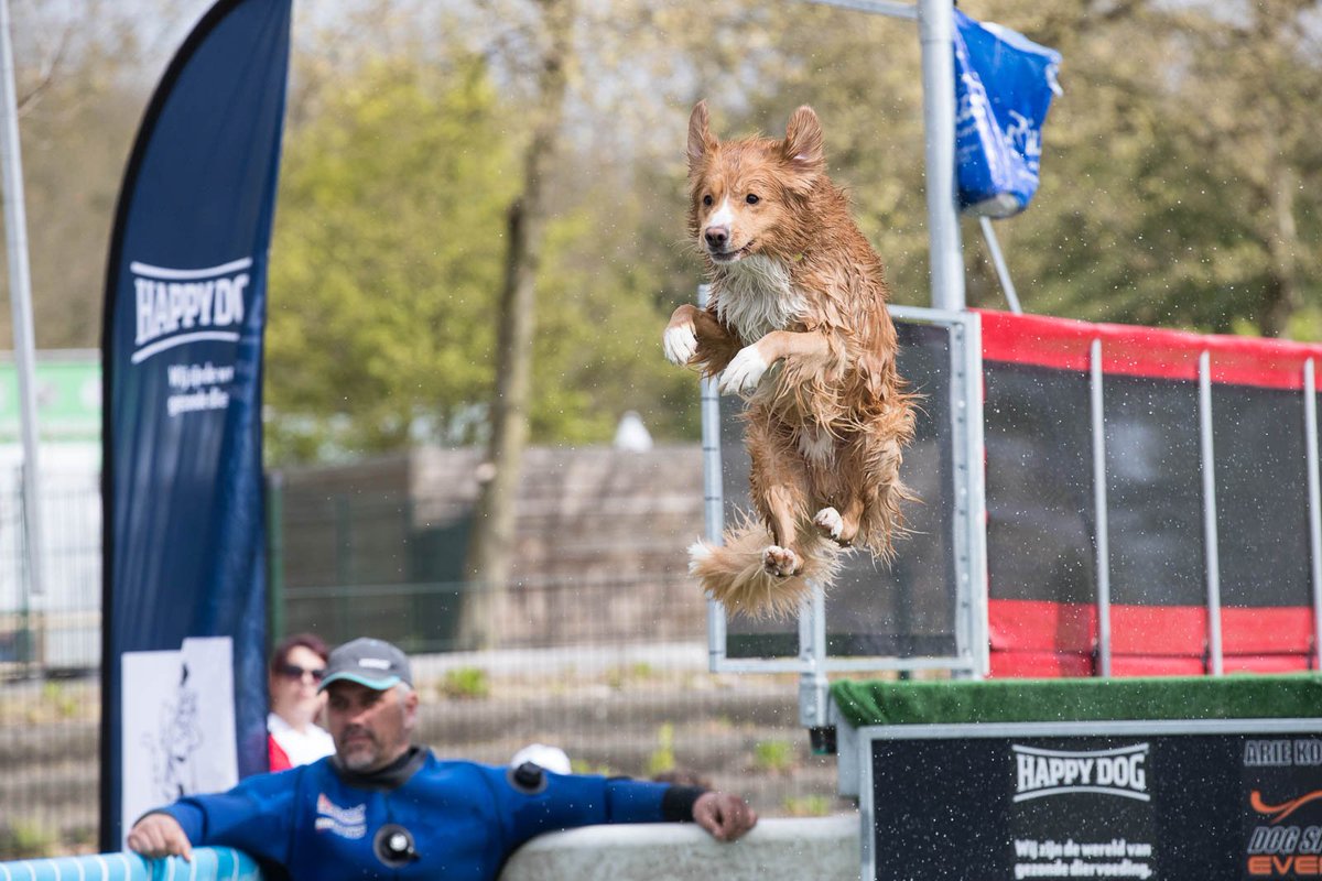 Geen spatje regen te zien, maar toch een natte neus bij het Dock Diving. #Animalevent2017
