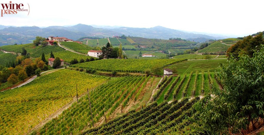 Cheers to the #weekend! Here's an itinerary to enjoy on bike or Vespa (Italian-style!) around Canelli winepassitaly.it/index.php/en/t…
