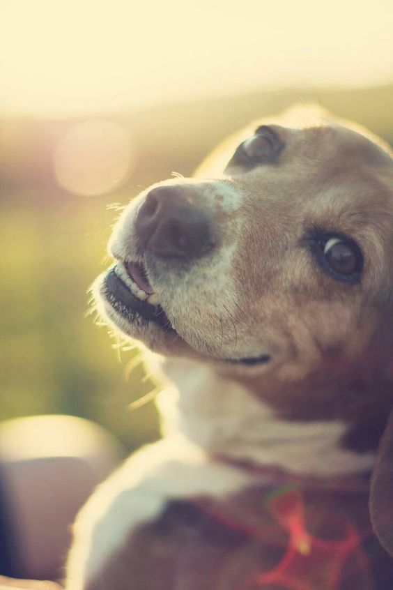 Smile! It's Friday!