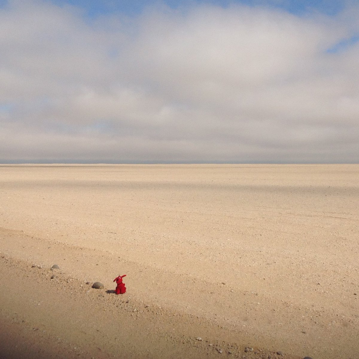 Newport_Library's tweet image. Our little Cliffy has taken off again! Any ideas where he is? #WhereIsClifford #LibraryMascot