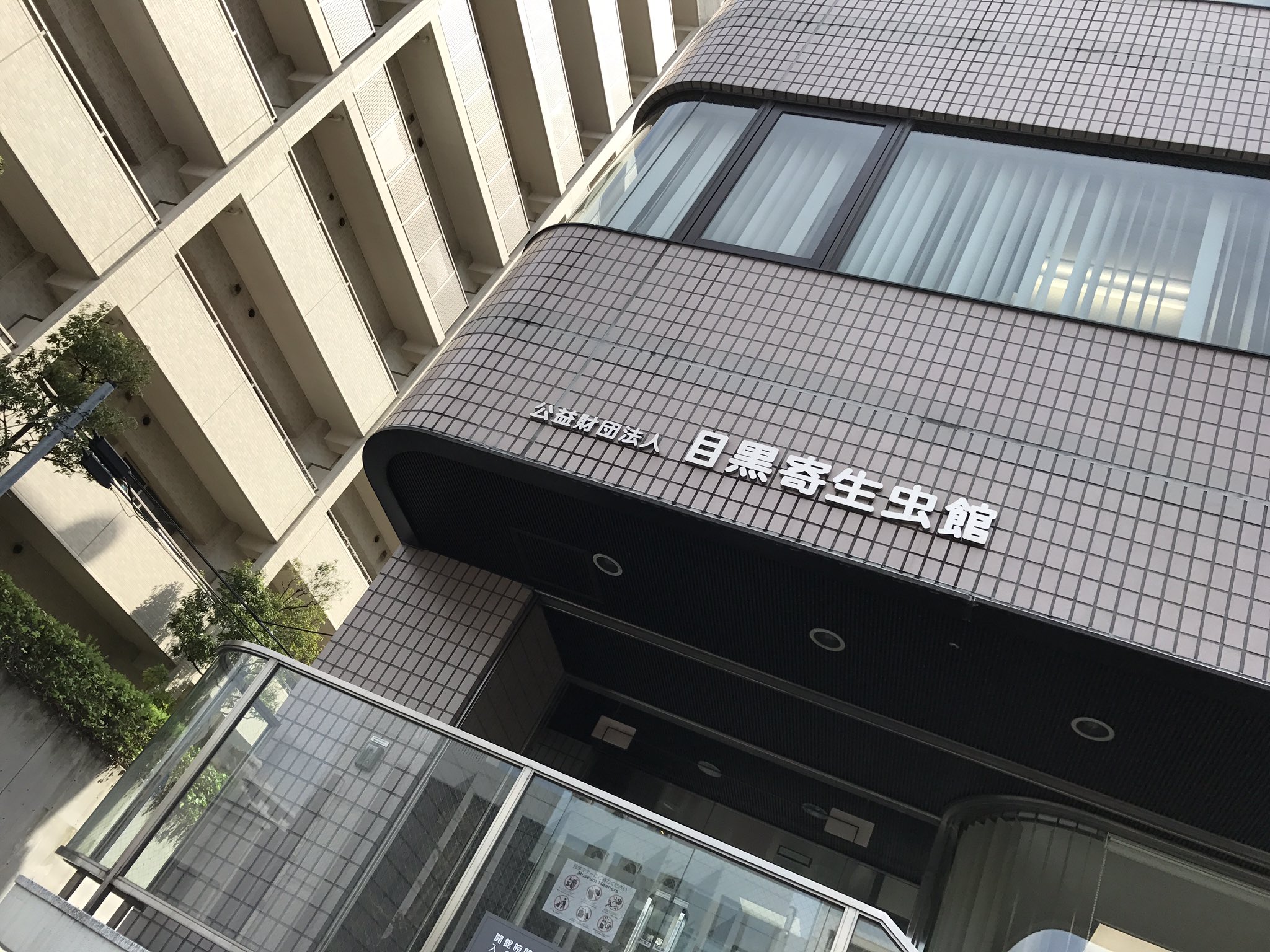 تويتر 東山奈央 オフィシャル على تويتر おつマクです 本日からより高画質なマクとまでございました ワルキューレ横アリライブのダイジェスト映像も公開されています T Co Rqshtyroed 目黒寄生虫館 また少しレイナに近づけた でしょうか 笑