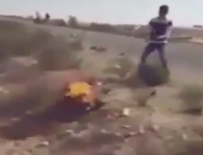 Προβολή εικόνας στο Twitter Προβολή εικόνας στο Twitter