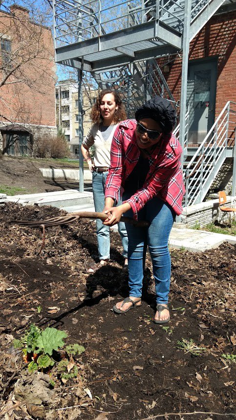 ihsp_mcgill's tweet image. Great day to get outside with our #QEScholars to Explore Urban Gardens &amp;amp; how they make us healthier. Digging fun @mcgillu &amp;amp; @mydawsoncollege