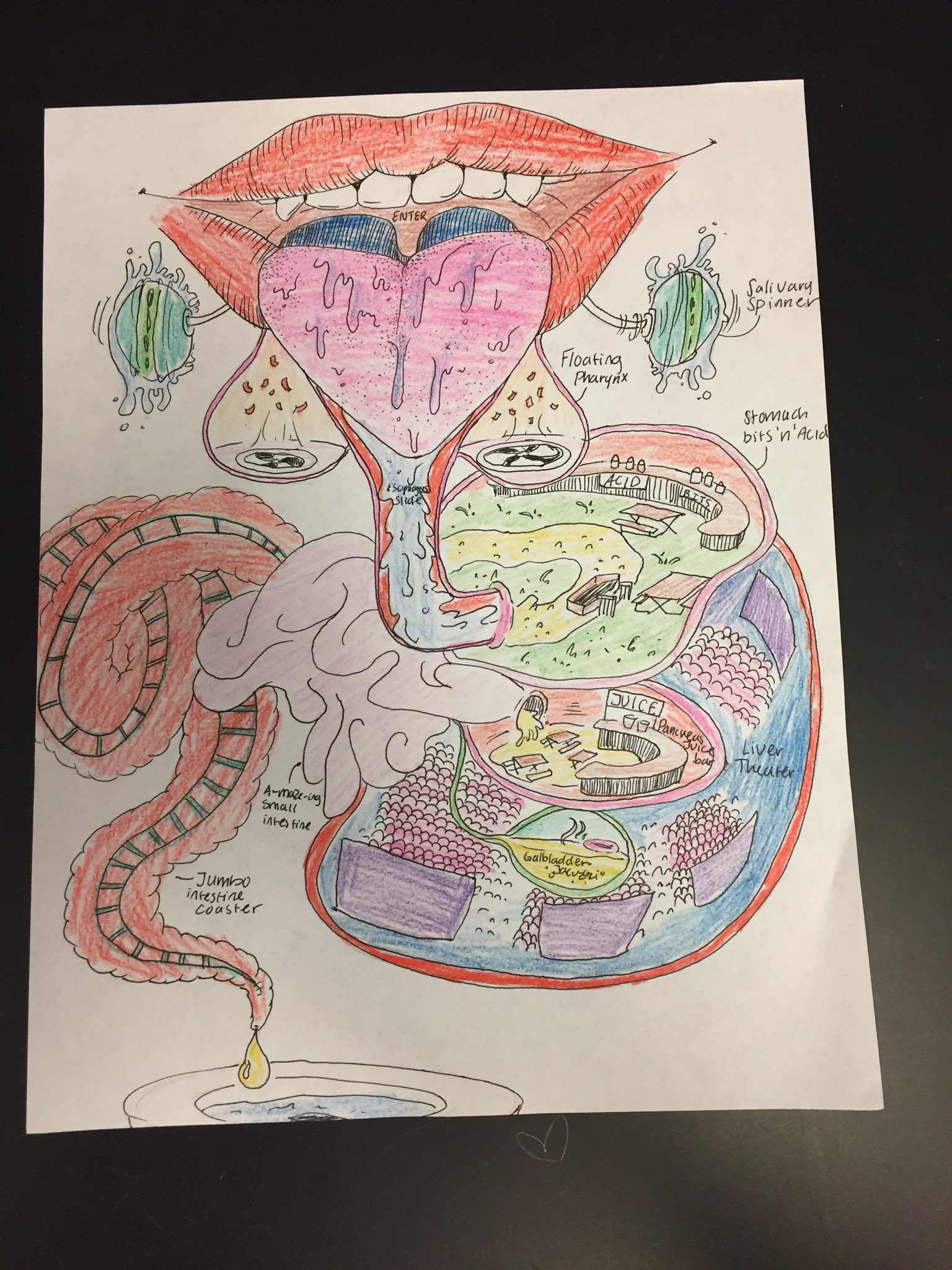 organ system cartoon