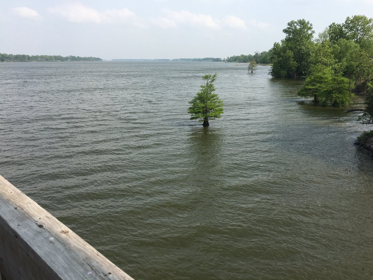 Doug Jones (TulsaDJones) Twitter