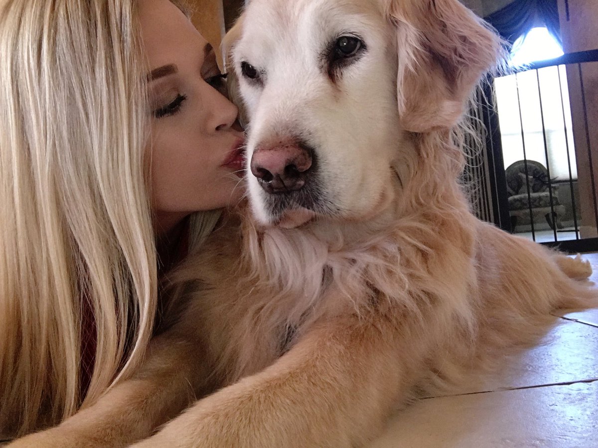 sar_raww's tweet image. Puppy heaven gained another angel today👼🏼 I'm heartbroken to see you go, but happy you're no longer suffering. I love you forever, Macy❤️