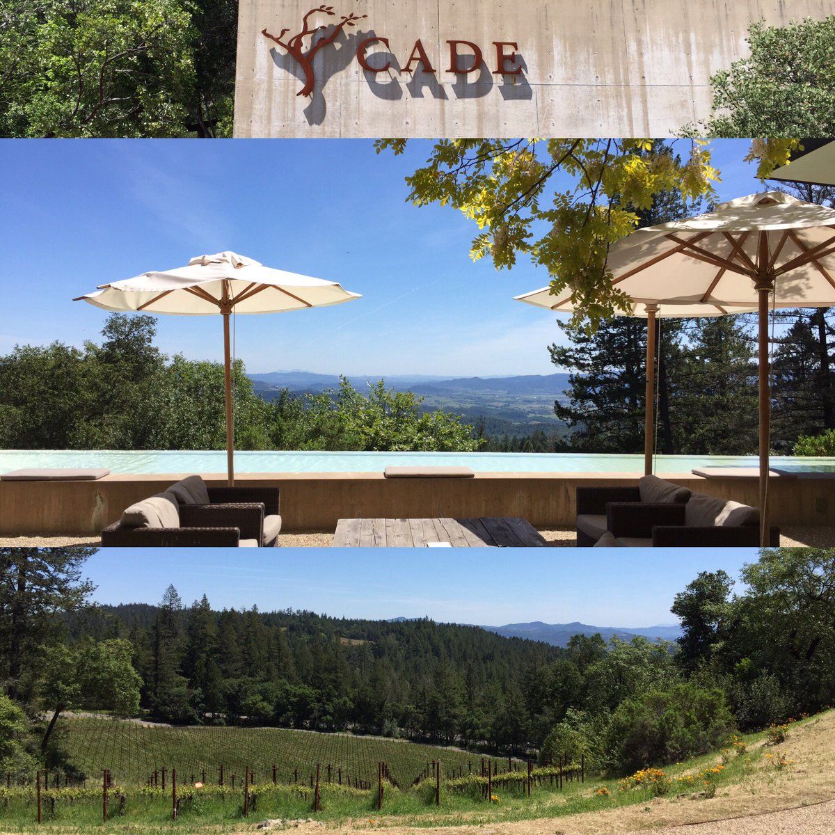 Andrew Anderson 🇺🇸 (@lvdrew9) on Twitter photo Our <a href="/teslatours/">teslatours</a> #T3 #winetour continues with an afternoon tour and tasting <a href="/CADEWinery/">CADE Estate Winery</a> !Always amazing views up on the mountain! #teslatours Our <a href="/teslatours/">teslatours</a> #T3 #winetour continues with an afternoon tour and tasting <a href="/CADEWinery/">CADE Estate Winery</a> !Always amazing views up on the mountain! #teslatours