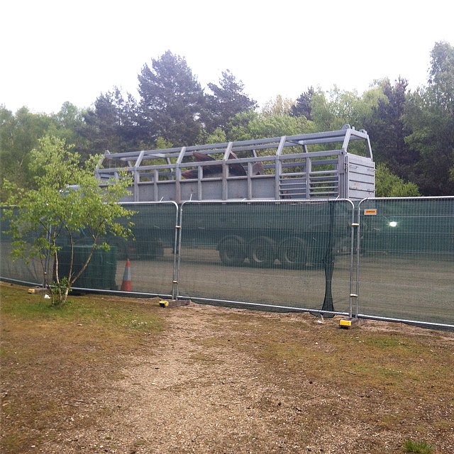 C-hAOQaXYAAuCZq?format=jpg&name=large