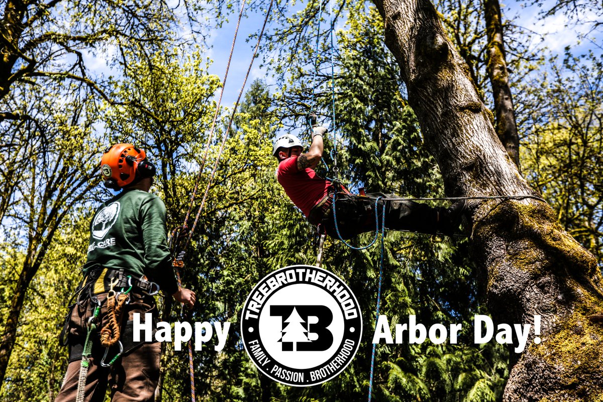 Happy #ArborDay from <a href="/TBHbrand/">TreeBrotherhood</a>!