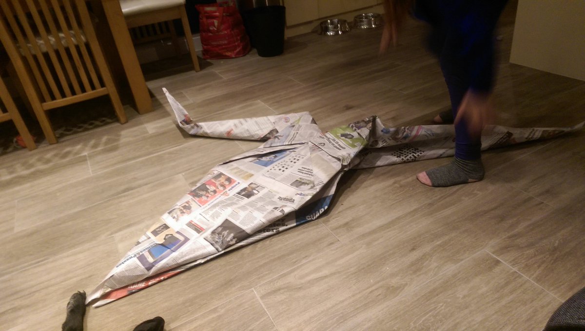 spiritsundays's tweet photo. @theipaper Origami cranes (symbolising peace!) from the i https://t.co/Ivb4ZbxOss