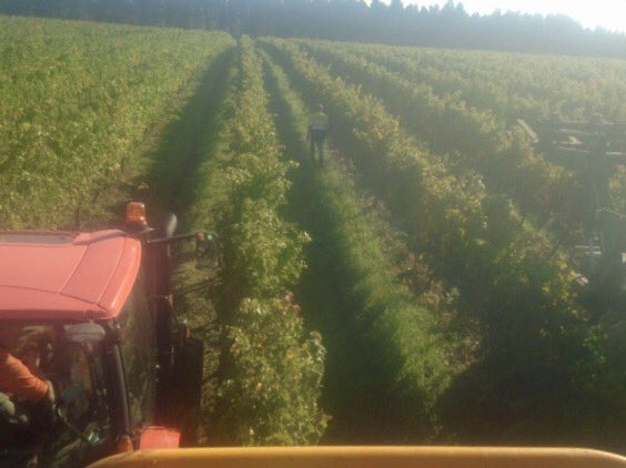 Harvest is continuing and almost May. It's a late one but a great one!