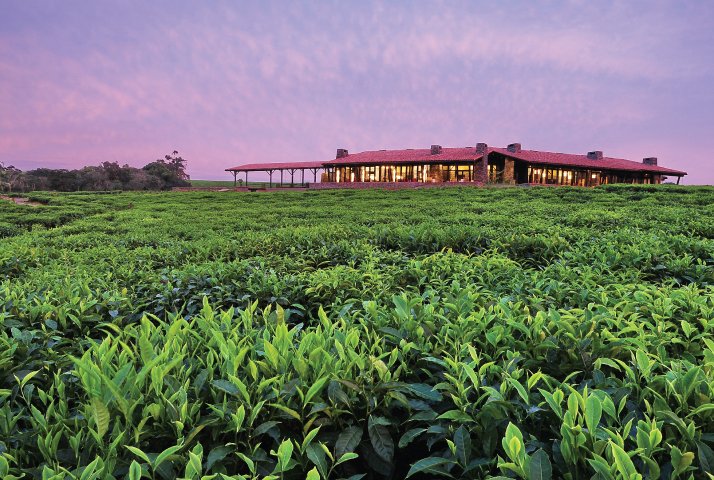 .<a href="/OOResorts/">One&Only Resorts</a> is expanding! Two new Nature Resorts opening in Rwanda; urban resorts + private homes coming too 😍 travel-about.com/news/oneonly-e… #ttot