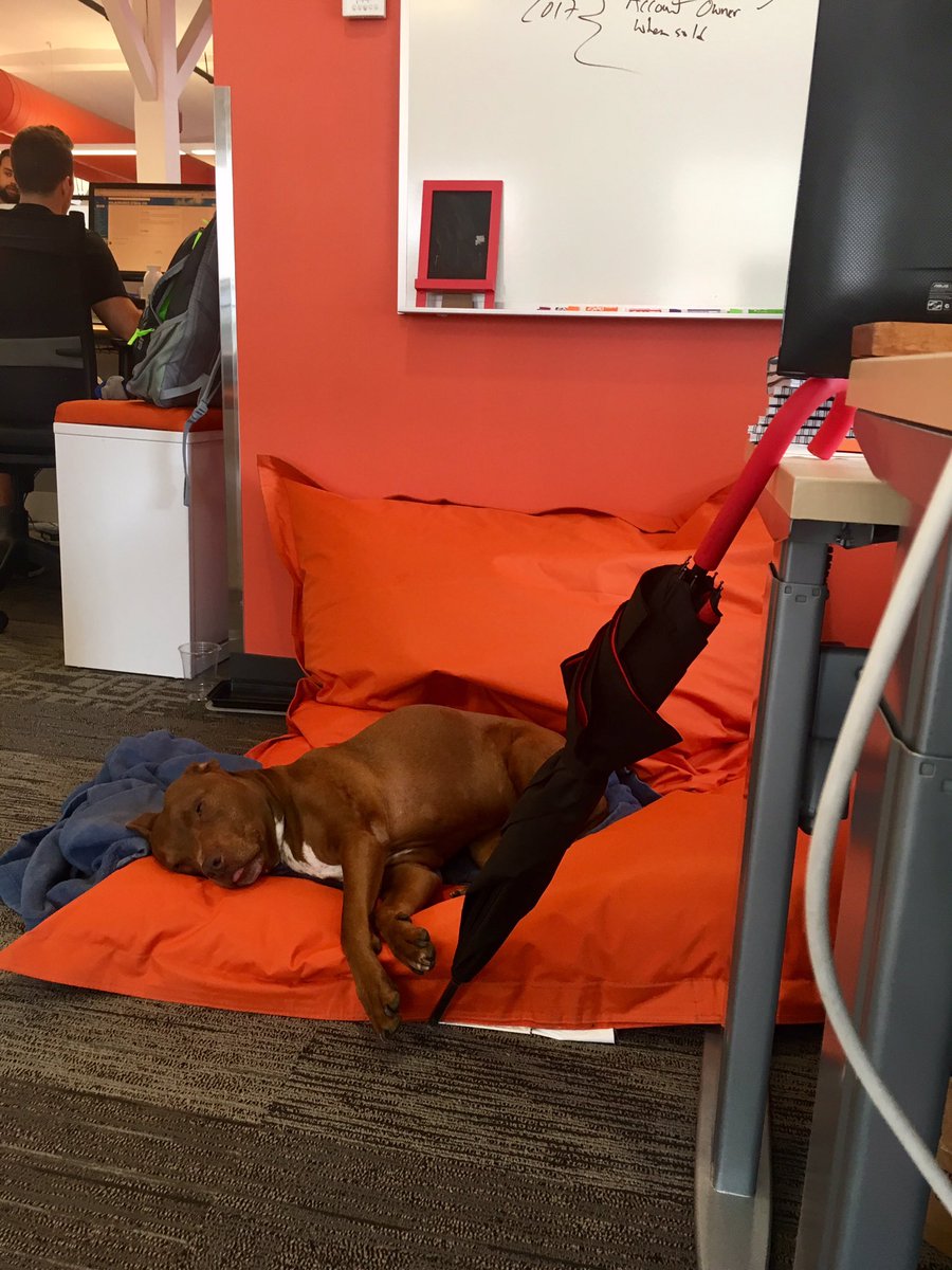 UnfilteredAnna's tweet image. After a week in Portugal for #hubspotpclub and then 3 weeks in Boston, with #HubSpotPartnerDay2017 finale, we are beat and ready to go home