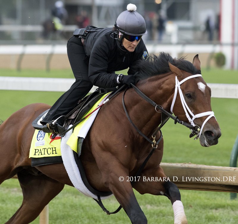 DRFLivingston's tweet photo. Fan fav PATCH, working this morning with Isabelle Bourez up, at @ChurchillDowns for the @KentuckyDerby . Todd Pletcher trainer. https://t.co/eksuNGtEUg
