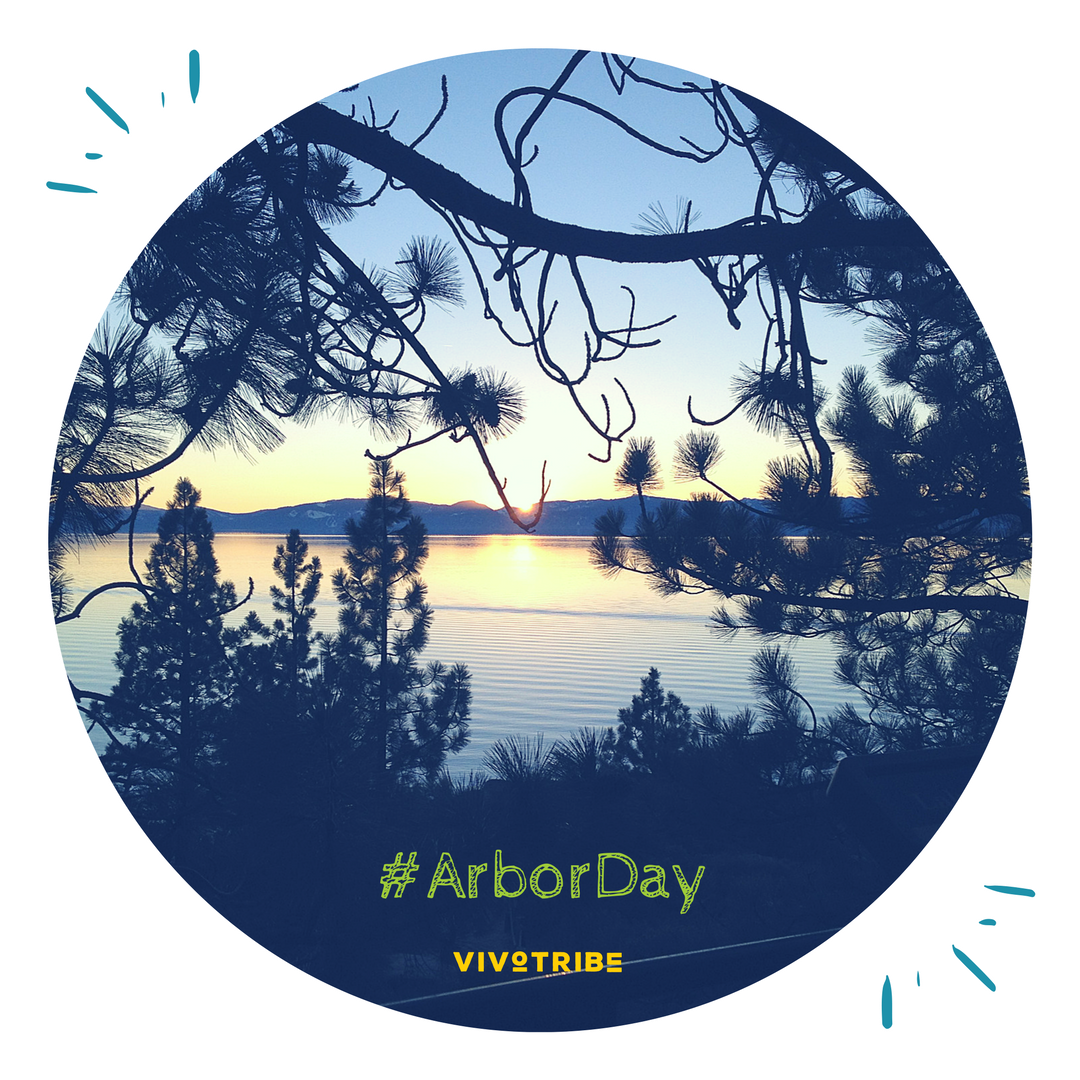 vivotribe's tweet photo. Happy #ArborDay from #VivoTribe https://t.co/kEMcTmEwtz https://t.co/2DVjELPgSw