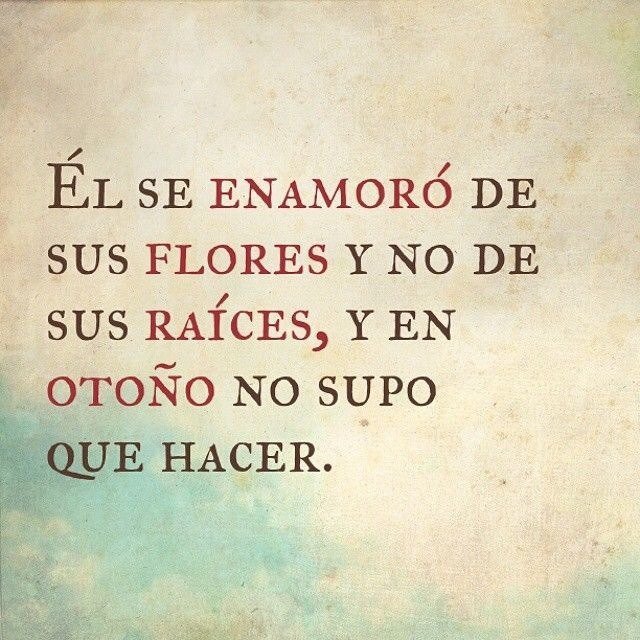Imagen relacionada