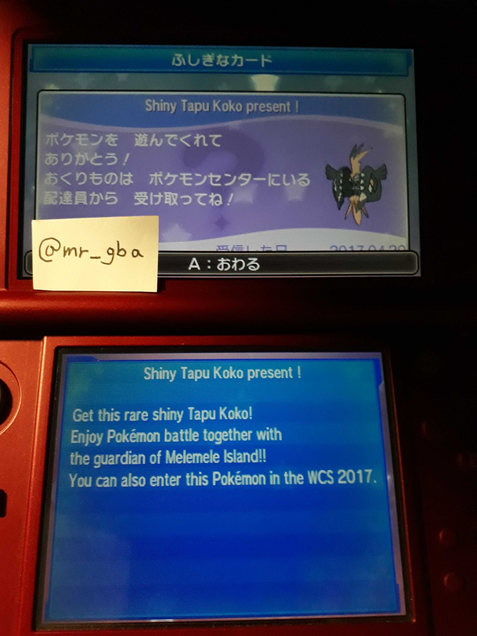 Mr Gba 台湾と香港で色違いのカプコケコ 黒カプコケコ Mr Gba 台湾と香港で色違いのカプコケコ 黒カプコケコ