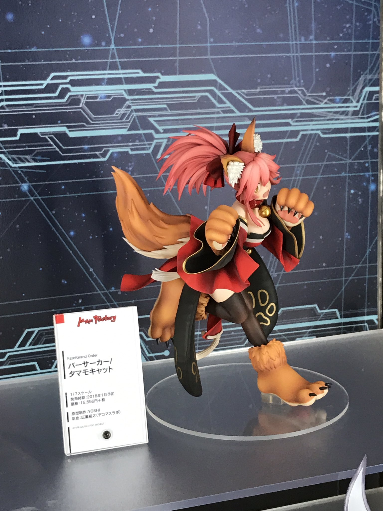 Fate タマモキャット フィギュア マックスファクトリー