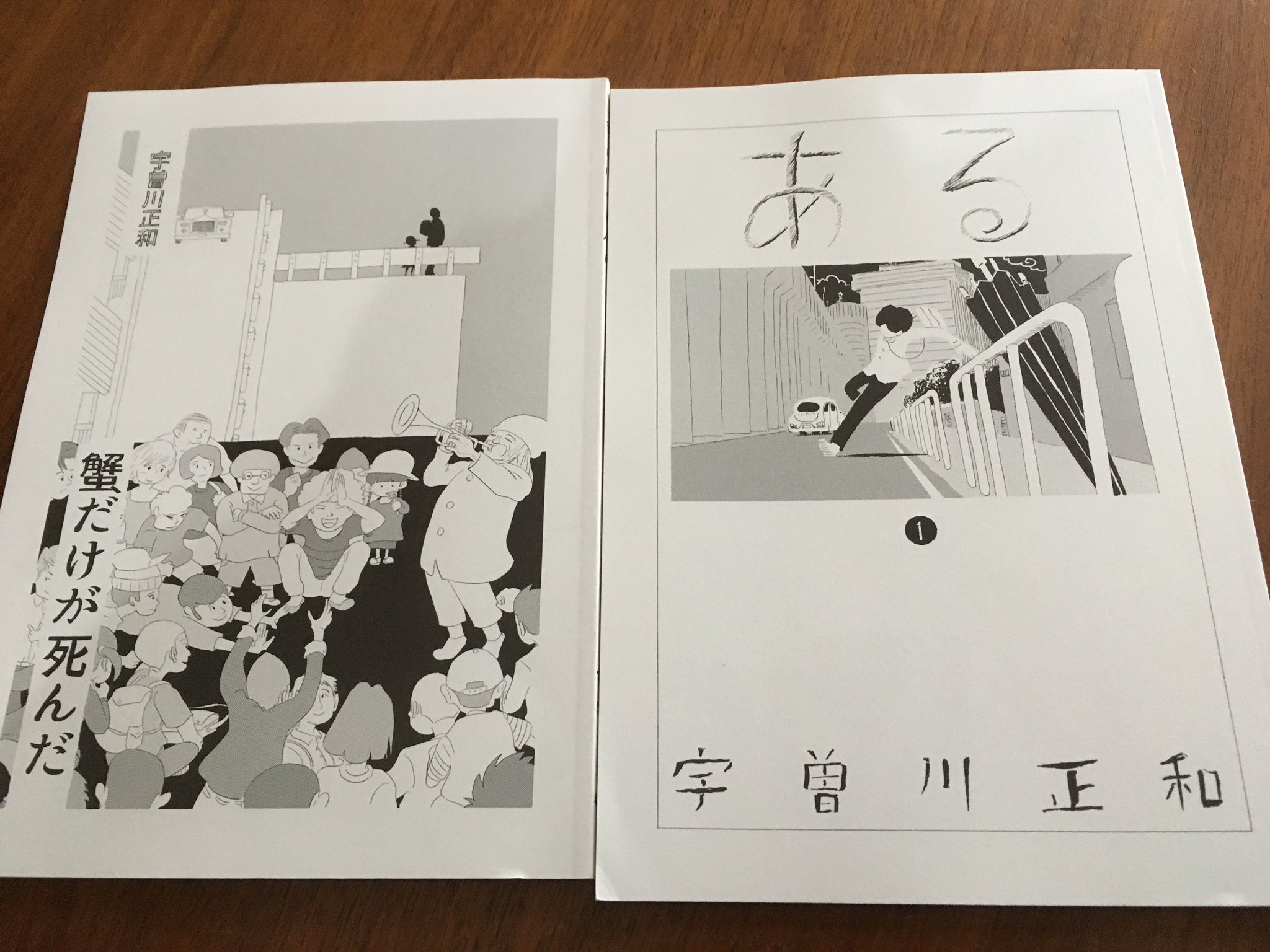 徳川龍之介 タコシェで買った宇曽川正和さんの ある 1 蟹だけが死んだ を読んだ 前に薄い本1冊読んだけど こちらもシュール な物語とびっくりするような構図のコマ割りに印象的な手描き効果音が効いててやはり面白かった 他に似てないのがまた良い